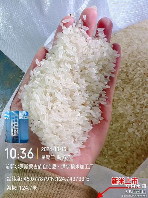 中科發(fā)5長(zhǎng)粒香大米 科技賦能下的餐桌新寵